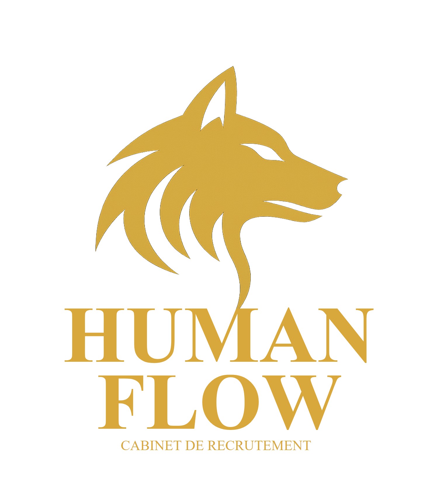 Human Flow